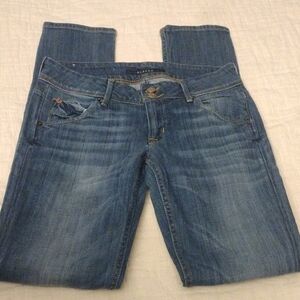 Hudson Jeans Blue Skinny Denim